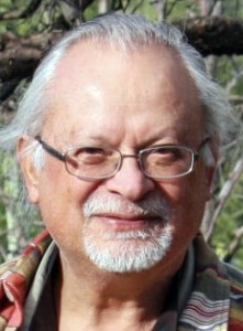 David-e1451757564418